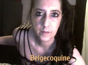 Belgecoquine