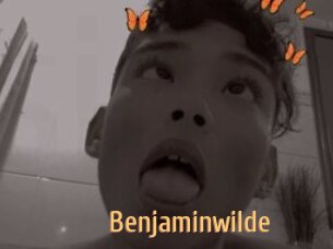 Benjaminwilde