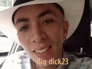 Big_dick23