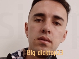 Big_dicktop23