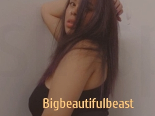 Bigbeautifulbeast