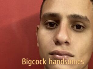 Bigcock_handsomes