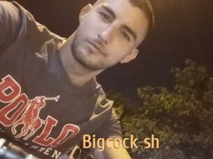 Bigcock_sh