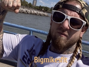 Bigmikesfit