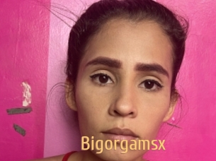 Bigorgamsx