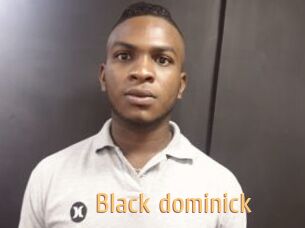 Black_dominick