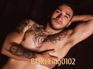 Blakeking0102