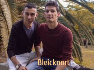 Bleicknort