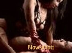 Blowsehott