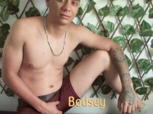 Bodsey