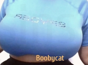 Boobycat