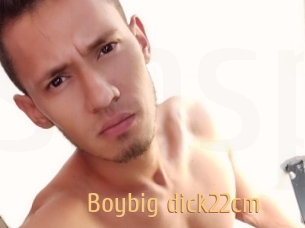 Boybig_dick22cm