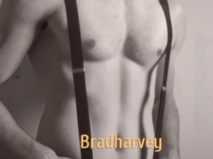 Bradharvey