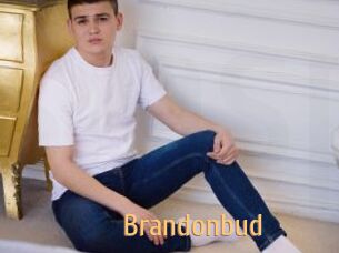 Brandonbud