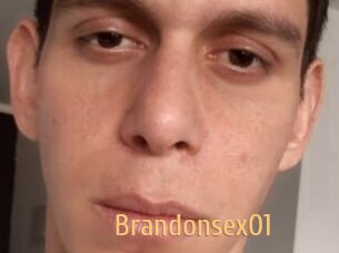 Brandonsex01