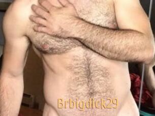 Brbigdick29