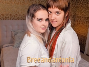 Breeandantonia