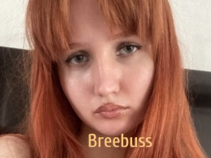 Breebuss