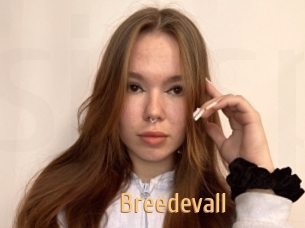 Breedevall