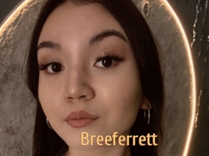 Breeferrett