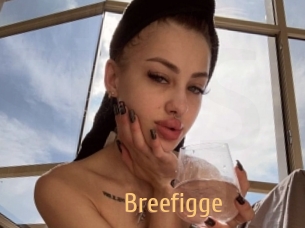 Breefigge