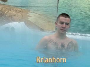 Brianhorn