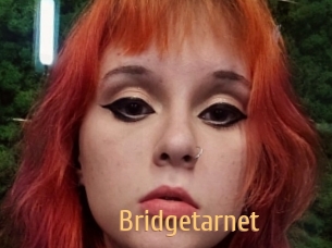 Bridgetarnet