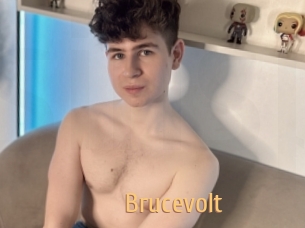 Brucevolt