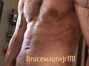 Brucewaynejr1111