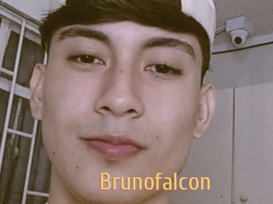 Brunofalcon