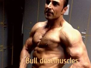 Bull_dosemuscles