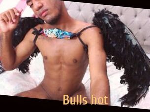 Bulls_hot