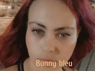 Bunny_bleu