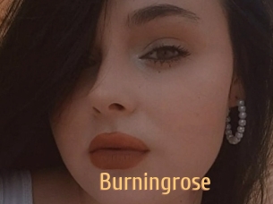 Burningrose