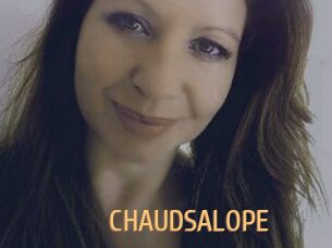 CHAUDSALOPE