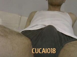 CUCAIO18