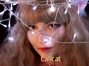 Calicat