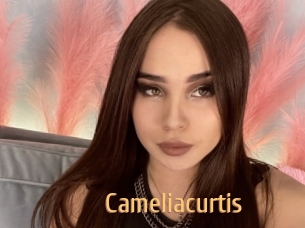 Cameliacurtis