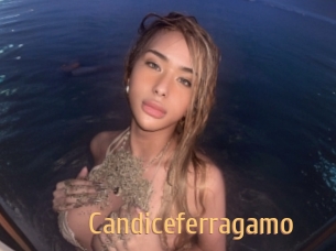 Candiceferragamo