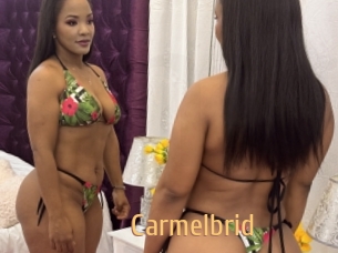 Carmelbrid