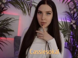 Cassiesokal