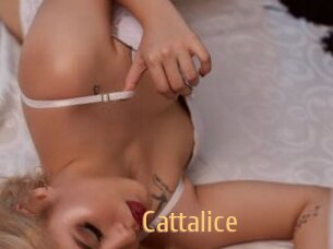 Cattalice