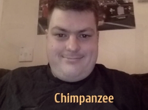 Chimpanzee