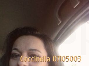 Coccinella-07105003