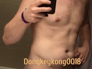 Dongkeykong0018