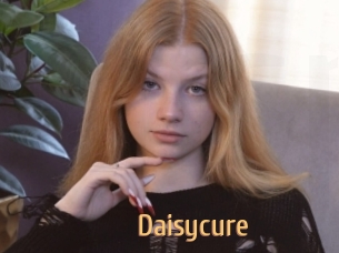 Daisycure
