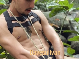 Davesulivan