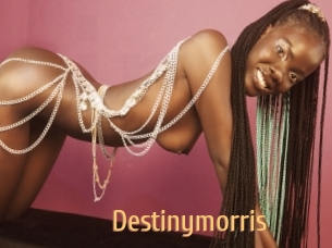 destinymorris Single Spass