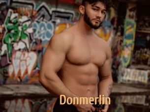 Donmerlin