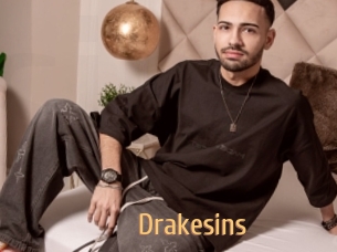 Drakesins